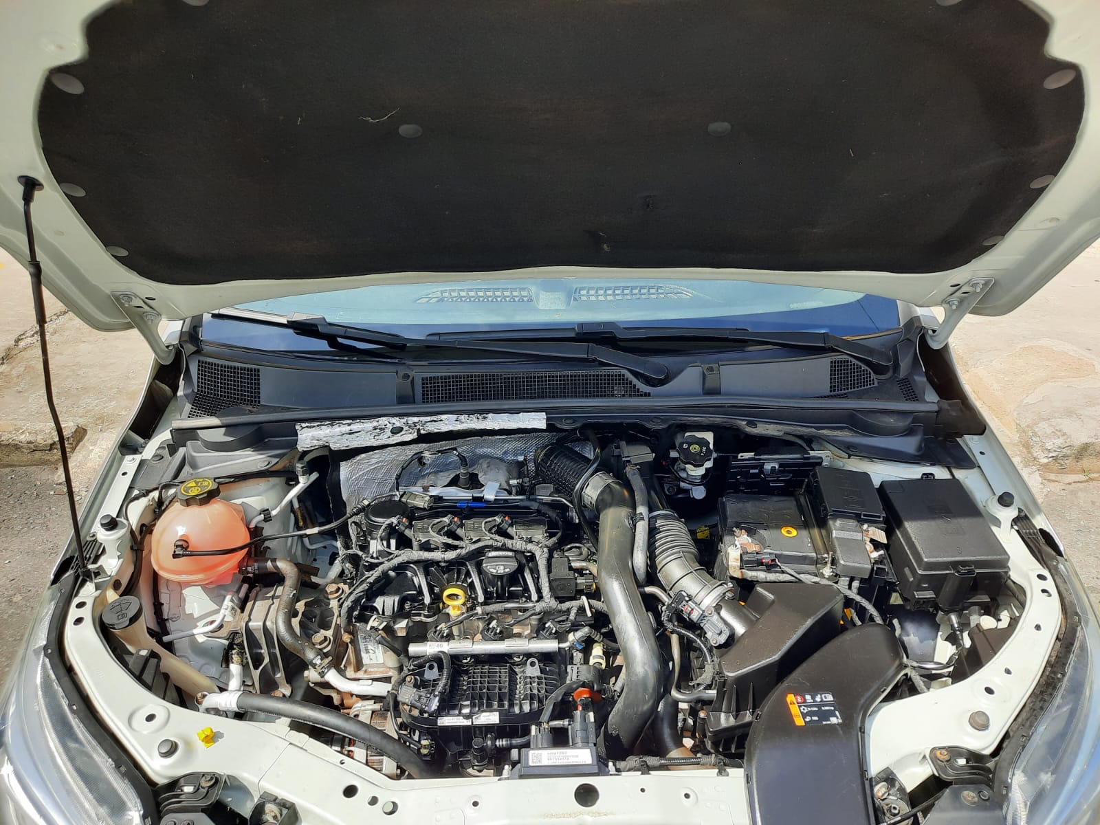 WhatsApp Image 2025-11-28 at 15.16.53 (1)